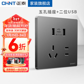 正泰（CHNT）开关插座面板套餐86型墙壁面板暗装二三插座五孔套餐NEW6TA深灰色 五孔双USB