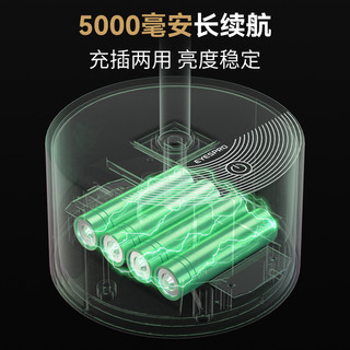 EYESPRO 孩视宝 专业护眼钢琴台灯 全光谱双灯罩智能练琴灯维也纳灰 CS20-P 充电款 专业护眼钢琴灯