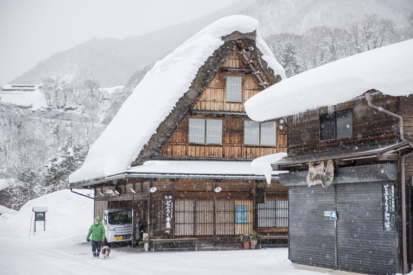 或许是日本最美雪景灯光秀！春节不加价！日本名古屋飞驒高山白川乡合掌村一日游