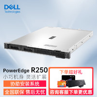 戴尔（DELL） PowerEdge 1U机架式服务器主机 R250（至强E-2314四核2.8G 16G 1TB桌面级*2)