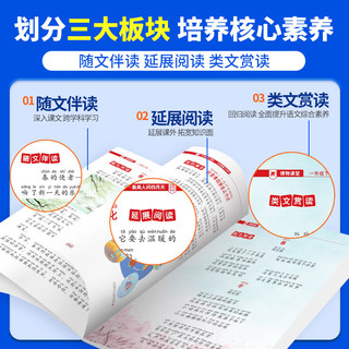 2024阳光同学博物课堂下册人教版课本寻宝语文学习的大百科全书小课外阅读书籍学习资料绘本同步训练教材 三年级下 【博物课堂】语文 人教版