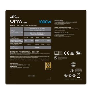 FSP 全汉 VITA GM 1000W 白金牌（90%）全模组ATX电源 1000W