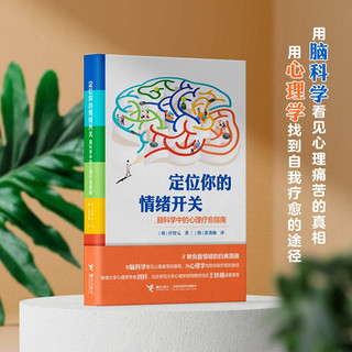 定位你的情绪开关：脑科学中的心理疗愈指南