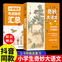 奇妙大语文1-6年级总复习全套2册狐说新语 小课外书小学语文考点知识汇总阅读理解答题技巧训练 奇妙大语文（全2册）