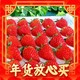 春节年货礼盒、爆卖年货：惜音 超级秒杀！红颜99草莓 果王巨无霸 2.5斤装 单果30-50g