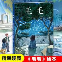 正版毛毛绘本精装版书籍 米切尔恩德原著 永远讲不完的故事作者作品 天天出版社 毛毛