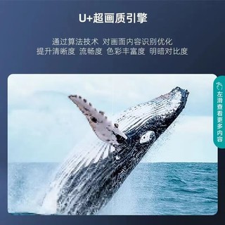 海信 85英寸4K高清语音遥控高色域智能液晶平板AI全面屏超大屏幕