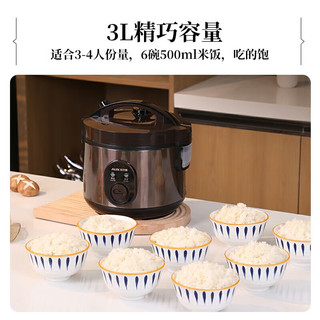 AUX 奥克斯 商用电饭煲多功能电饭煲VK-301X9 3升（2-3人）