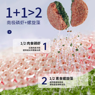 YEE鱼饲料贴片鱼食孔雀鱼粮观赏鱼小型鱼丰年虾贴片金鱼开口鱼粮 实惠大瓶装480片/290g