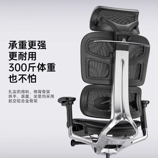 有谱FLY E1大体型人体工学椅工程学电脑椅办公椅舒适老板椅 黑框灰网
