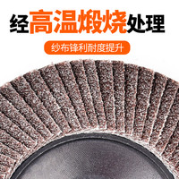 BaoLian 保联 B加厚百叶片打磨片