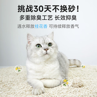 宠幸混合豆腐猫砂细砂快速结团除臭可溶可冲厕所猫沙猫咪用品 【】破碎小米混合砂2.4kg*2