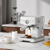 PETRUS 柏翠 意式咖啡机浓缩家用小型58mm全半自动蒸汽打奶泡PE3833