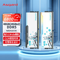 阿斯加特（Asgard）48GB(24GBx2)套装 DDR5 6800 台式机内存RGB灯条-吹雪联名款 海力士M-die颗粒 CL34