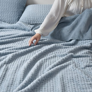 DAPU大朴 仿兔绒毛毯双层加厚毯子空调午睡毯沙发毯200*230cm 龙猫蓝