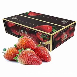柚萝 红颜99草莓 2.5斤装 单果15-30g