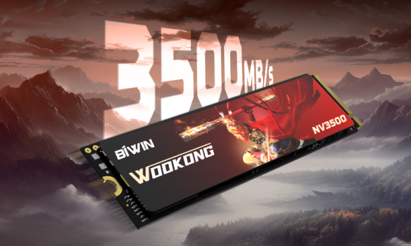 PCIe 3.0黑马强势来袭，性价比之选丨佰维 WOOKONG NV3500 SSD
