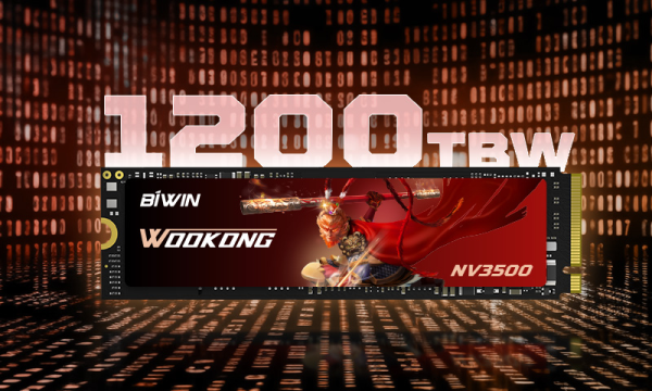 PCIe 3.0黑马强势来袭，性价比之选丨佰维 WOOKONG NV3500 SSD