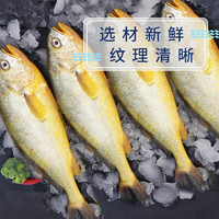 zhouzhouyuhai 舟舟与海 醇香黄鱼鲞净重 黄鱼鲞250g/条