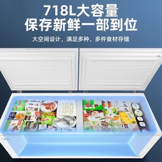 美的（Midea）718升商用冰柜 卧式单温大型零下40度超低温双门冷柜 冷藏冷冻转换雪柜BD/BC-718DKEMB 零下40度超低温（约冻933斤肉）