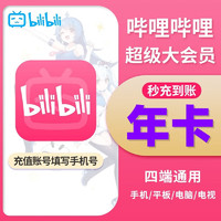 bilibili 哔哩哔哩超级大会员年卡 12个月