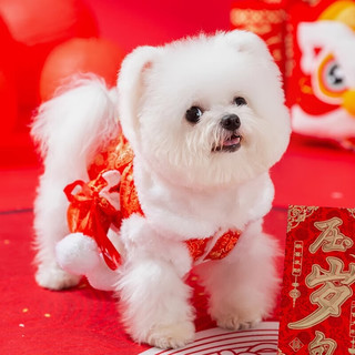 嬉皮狗（hipidog）新年福包小狗狗衣服冬季比熊泰迪小型犬冬宠物秋冬款过年挎包棉衣 德罗红烫金马甲 S （3-5斤）