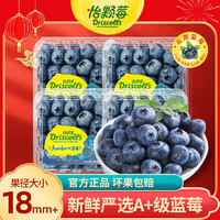 Driscoll's Only the Finest Berries 怡颗莓 当季云南蓝莓 Jumbo超大果国产蓝莓 新鲜水果 Jumbo超大125g*4盒