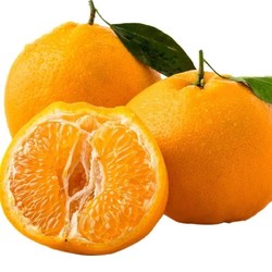 四川春见耙耙柑新鲜水果柑橘橘子5斤中果