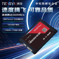 TENGYIN 腾隐 TS510 固态硬盘 2TB（SATA 3.0）