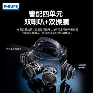 PHILIPS 飞利浦 TAS2519家庭k歌音响麦克风一体家用ktv套装话筒卡拉ok一体机唱歌户外蓝牙音箱 TAS2519双麦