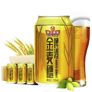 珠江啤酒 10度 珠江金麦穗啤酒 330ml*6听 连包装