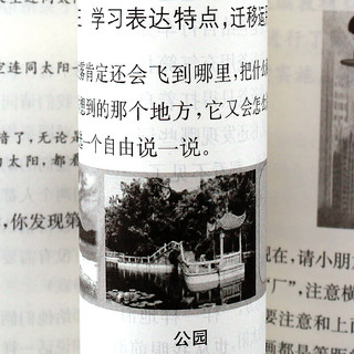  低年级语文这样教 统教材 小学语文教师书系教学设计 教学方案小学语文一二年级教师参考资料书曹爱卫教育学基础 上海教育出版社