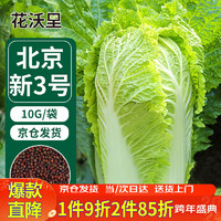 花沃里 北京新三号大白菜种子10g/袋 蔬菜种子秋冬四季萝卜种子庭院田间