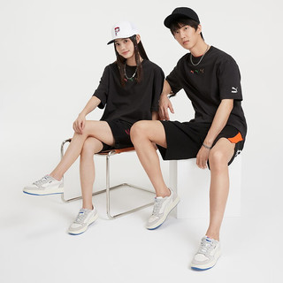 PUMA 彪马 官方 男女同款情侣复古休闲板鞋 SKY LX LOW PNRM