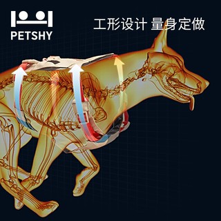 petshy 胸背带 宠物狗狗猫咪背心式牵牵引绳子小中型犬狗遛狗绳 格里蓝 L-大型