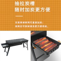 IESKYWILL 思凯威 烧烤炉家用烧烤架户外折叠便携式小型烤肉炉野外木炭碳烤架子工具