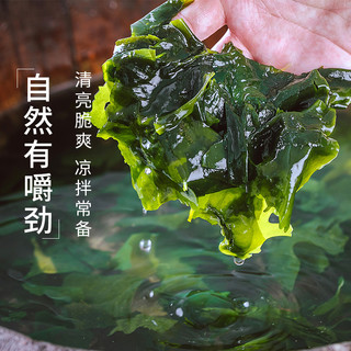 吉得利 裙带菜100g/袋 烘干海带菜  海产干货 凉拌煲汤火锅食材