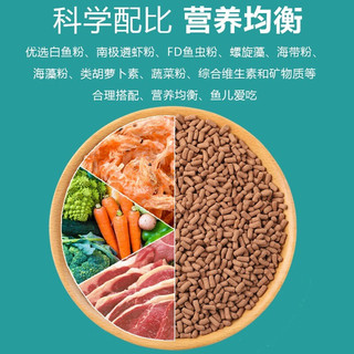 共度（Gong Du）龙鱼饲料 银龙鱼鱼饲料 龙鱼鱼食大颗粒观赏鱼热带鱼增色鱼粮 银龙鱼饲料750g