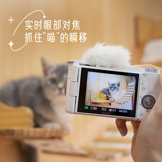 索尼（SONY）ZV-E10L Vlog微单数码相机 白色 长焦旅行双镜头套装（标准镜头+SEL55210银色）