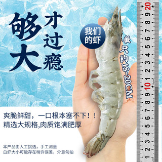 厄瓜多尔单冻巴掌大虾1.5kg 加大号 20-30只/kg 露营海鲜烧烤