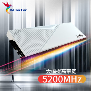 威刚XPG威龙D500 ddr5 16G/32G 6000频率台式机电脑内存条马甲条