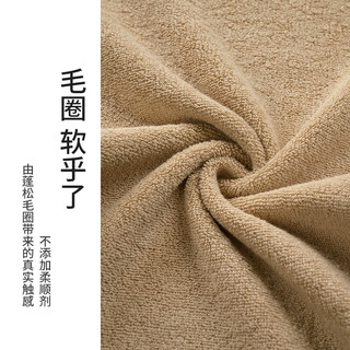 Z towel 最生活 毛巾加厚强吸水纯棉吸水A类抗菌柔软纯色 经典系列2条