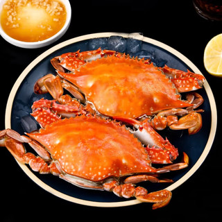 鲜活速冻梭子蟹1只500-650g速冻梭子蟹梳子蟹海鲜螃蟹生鲜 精品梭子蟹(满膏) 2只装单只500-650g