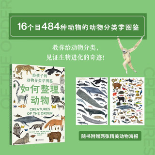 如何整理动物：484种动物分类图鉴