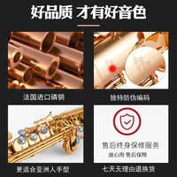 磷铜 台湾萨尔特高音萨克斯乐器直管降b调SP-6700专业演奏款