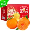 京鲜生 立春到！四川春见耙耙柑（自然树熟） 单果70mm+ 净重8-8.5斤 礼盒装