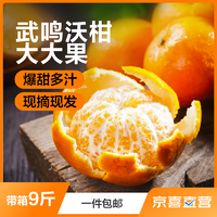 仙绘鲜 广西武鸣沃柑 带箱4.5kg大大果 生鲜水果