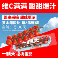88VIP：一颗大 串番茄樱桃小西红柿198g*4盒新鲜采摘酸甜