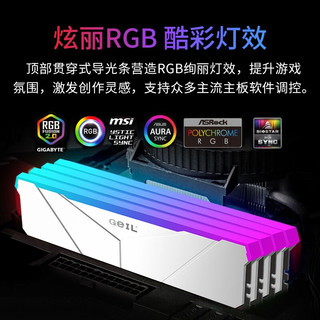 GEIL金邦巨蟹DDR5内存条台式机电脑马甲条 48G(24GX2)套装 8000灯条白色CL40