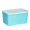 特百惠（Tupperware）雪影冷藏冷冻大型保鲜盒2.5L*1个食品级冰箱收纳盒 冷藏冷冻保鲜盒2.5L*1个